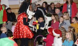 Arbre De Nol Spf   029